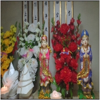 천화궁 PC 갤러리 11